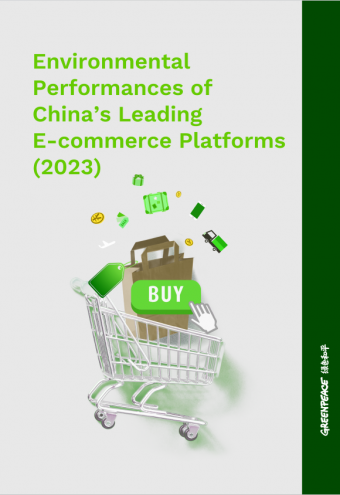 Environmental Performances of China’s Leading E-commerce Platforms (2023)